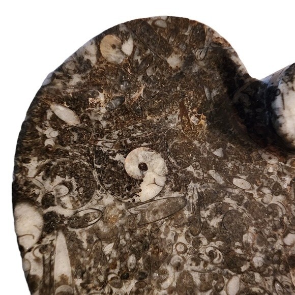 NWOT Gray Heart Shape Natural Stone Fossil Dish - Picture 5 of 9